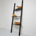H3 Cat Scratching Tree
