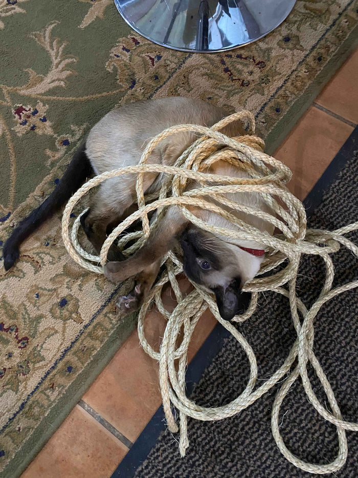 Re-Sisal Service