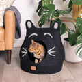 Boy Cat Cave, Ears
