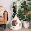Leaf Cat Cave, Tail
