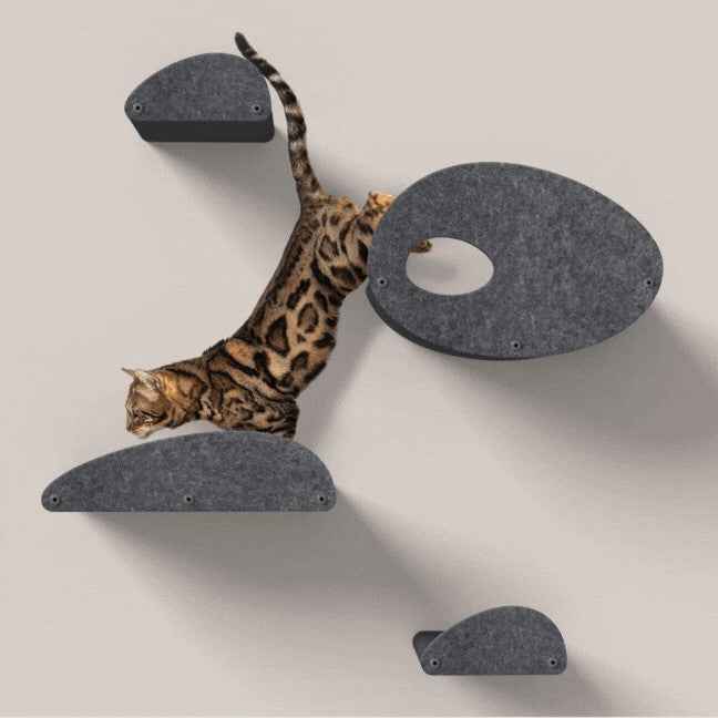 Set of 4 Cat Climbers with Facades