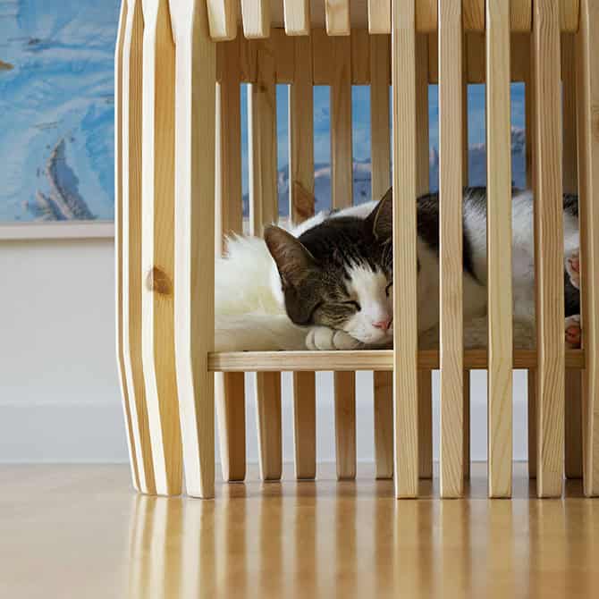 Catissa Colosseum Cat Bed by Catissa, view 3