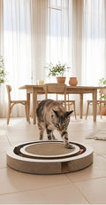 Timon Interactive Cat Scratcher