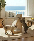 Rompeolas Cat Scratcher