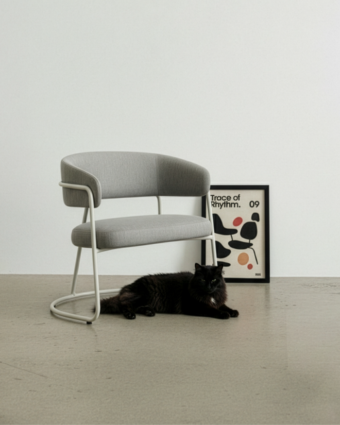 Trace of Rhythm Art Poster Cat Scratcher