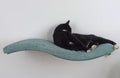 Wave Cat Wall Shelf, 95 cm Symmetrical Right