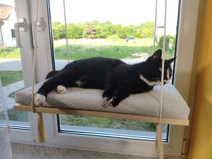 Sunny Spot Cat Window Shelf, 75 cm