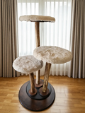 Three-Trunk Driftwood Cat Tree