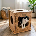 Cardboard Cat House and Scratcher
