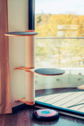 Wall-Mounted Cat Tree, 2 Posts