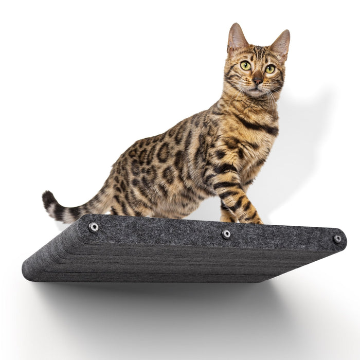 Long Lounger Cat Climber, Charcoal, Pryde Pets