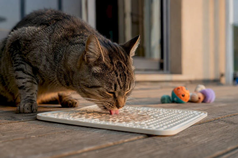 Cat licking textured lick mat on floor