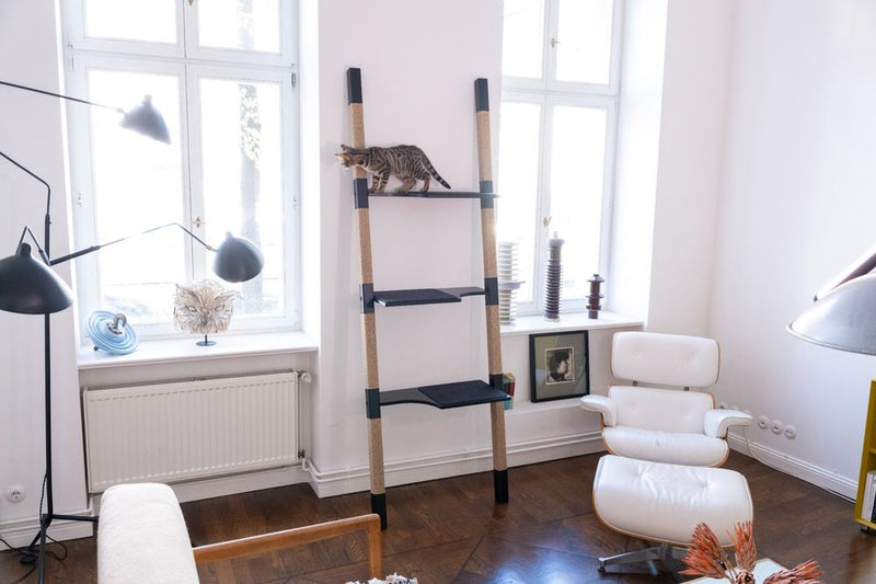 H-Tree Studio H3 modern cat scratching tree in a bright living room with a cat on the upper platform
