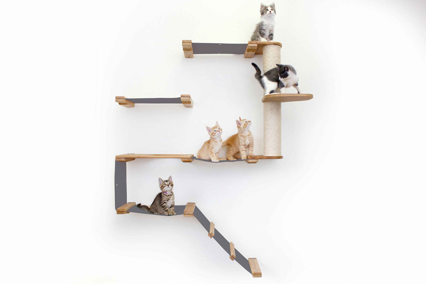 The Deluxe Cat Fort