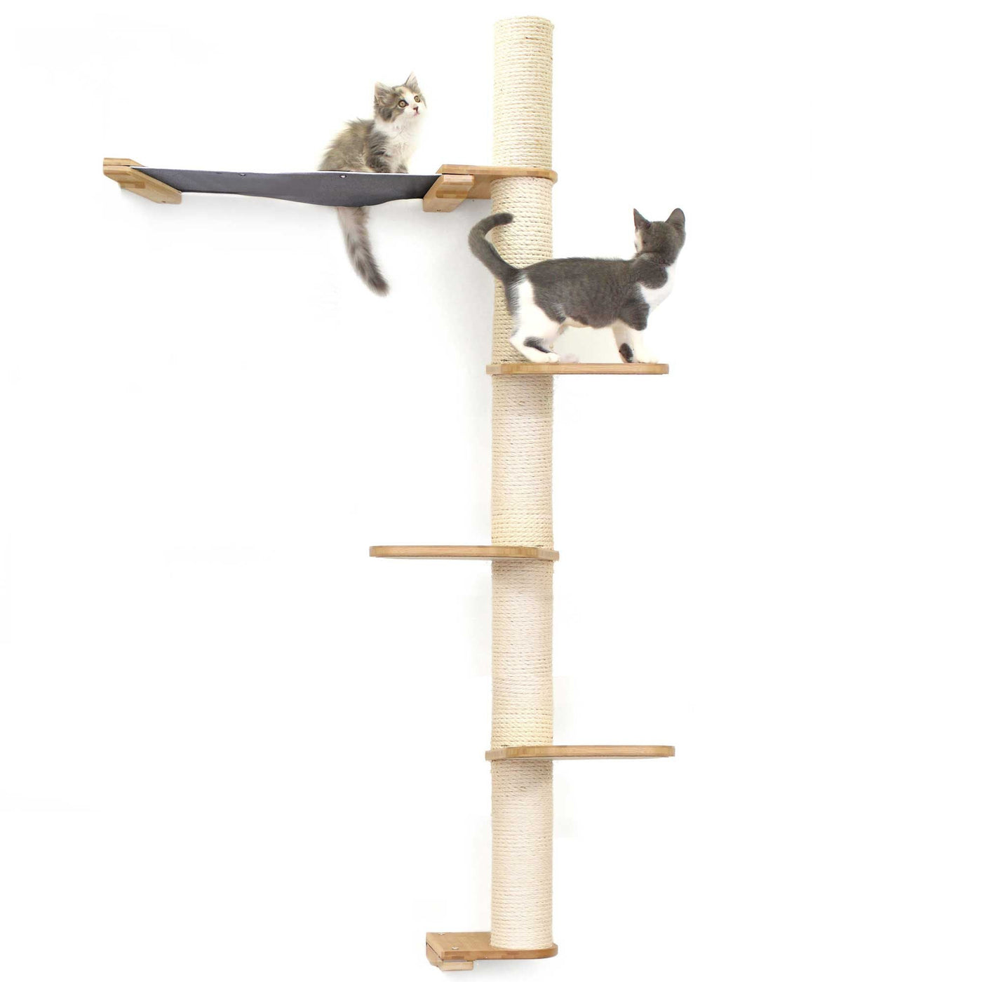 Tall wall mounted cat scratcher tree with a sisal pole installed high near the ceiling