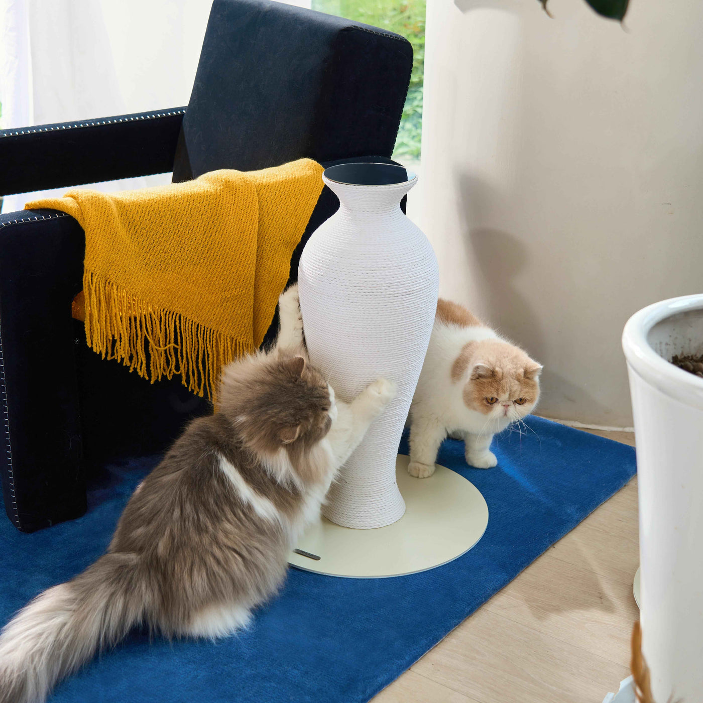 ArtistiCAT Vase Scratcher