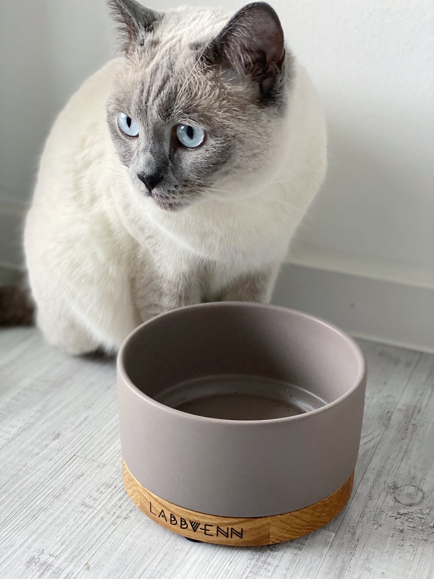 Vuku Ceramic Cat Bowl