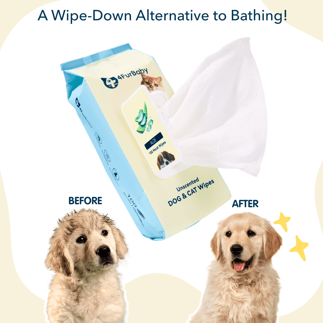 Plant-based compostable cat grooming wipes