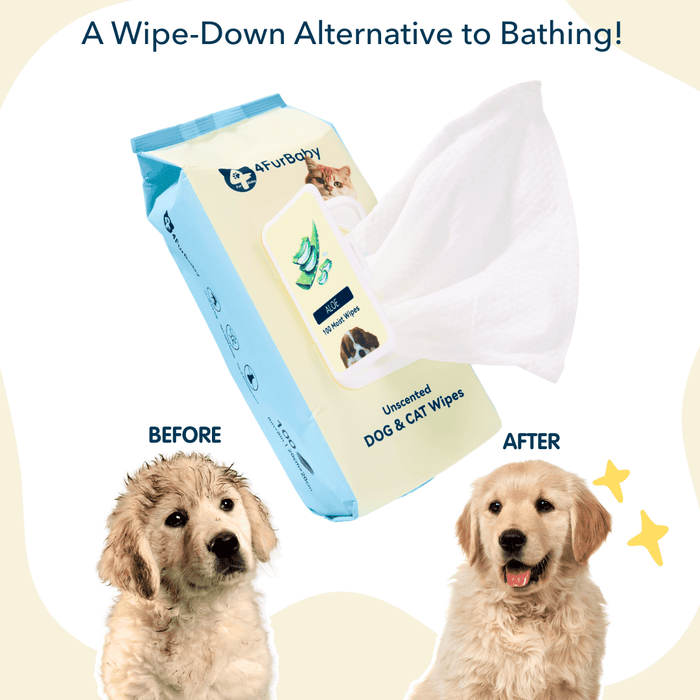 Plant-based compostable cat grooming wipes