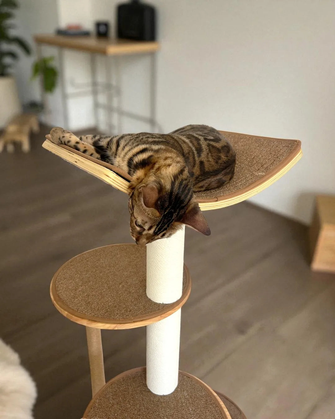 Gaviota Cat Scratching Tree, view 7