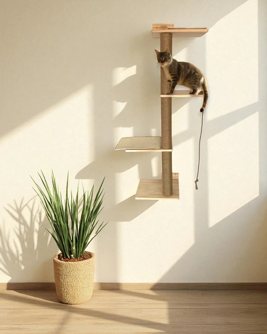 Salina Cat Scratching Tree, view 8