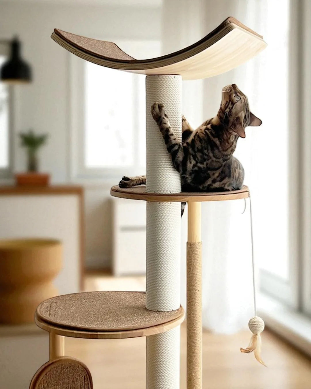 Gaviota Cat Scratching Tree, view 8