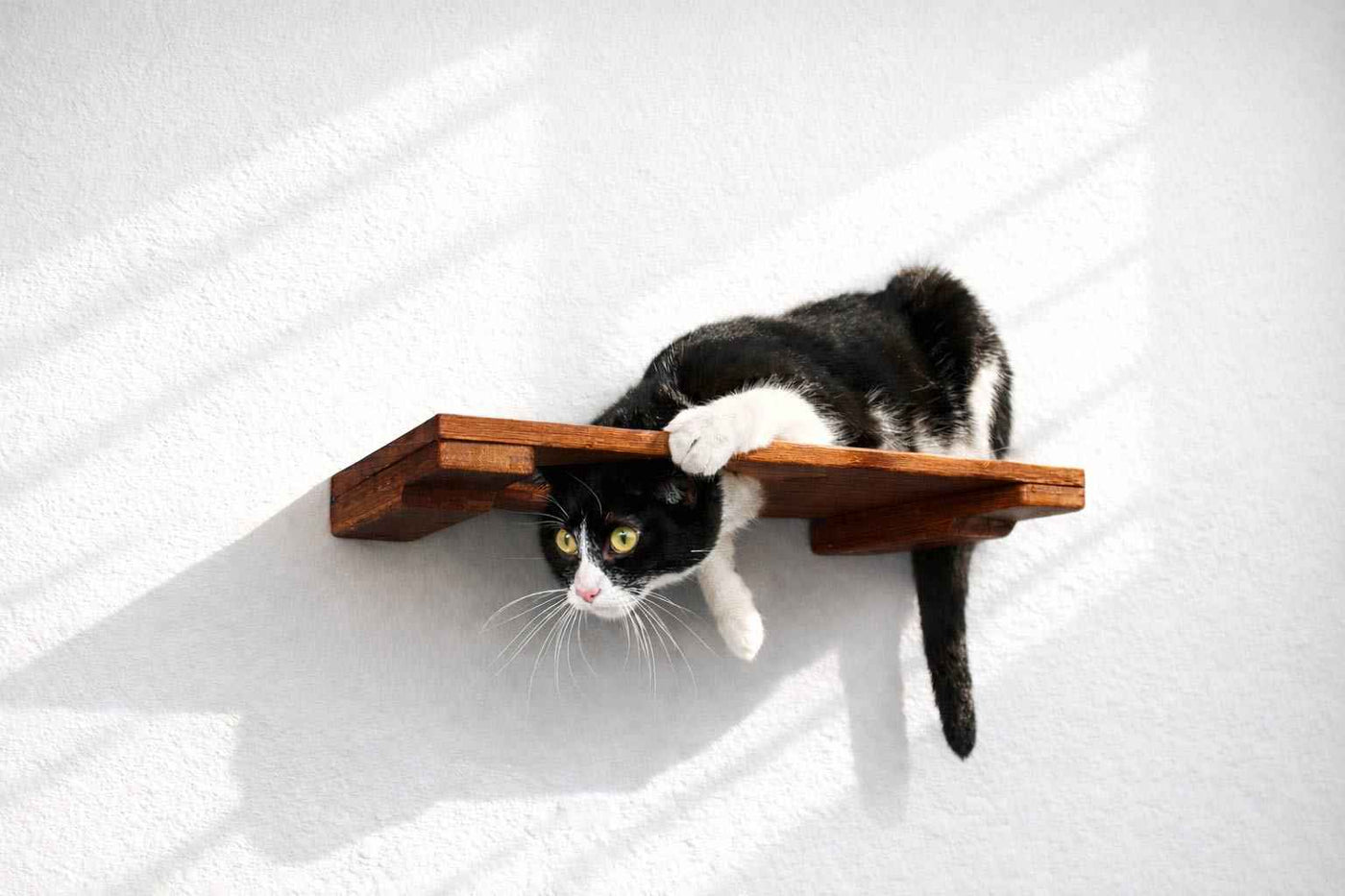 Wall-Mounted Cat Shelf