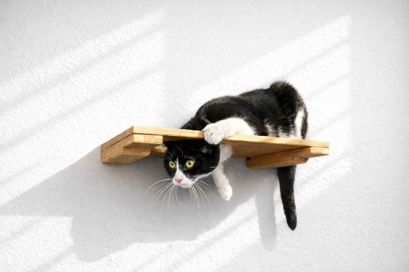 Wall-Mounted Cat Shelf