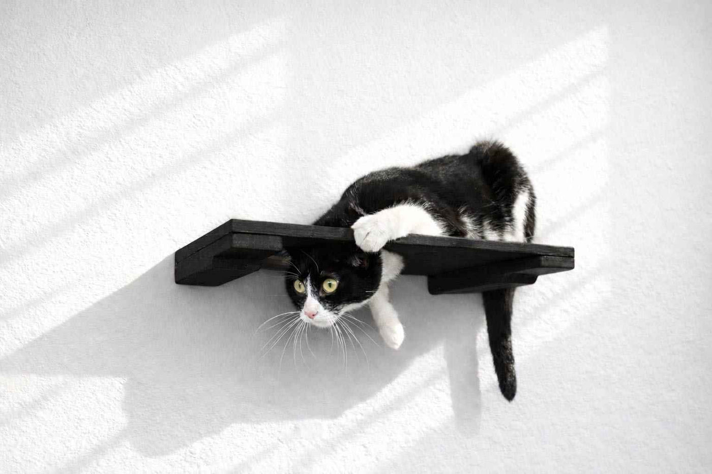 Wall-Mounted Cat Shelf