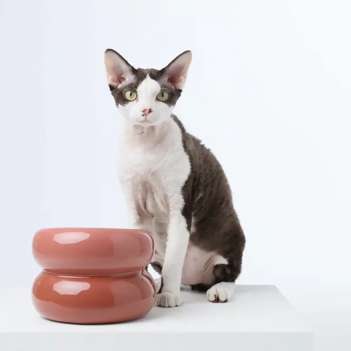FurryTail Souffle Bowl elevated anti-tip cat feeding bowl