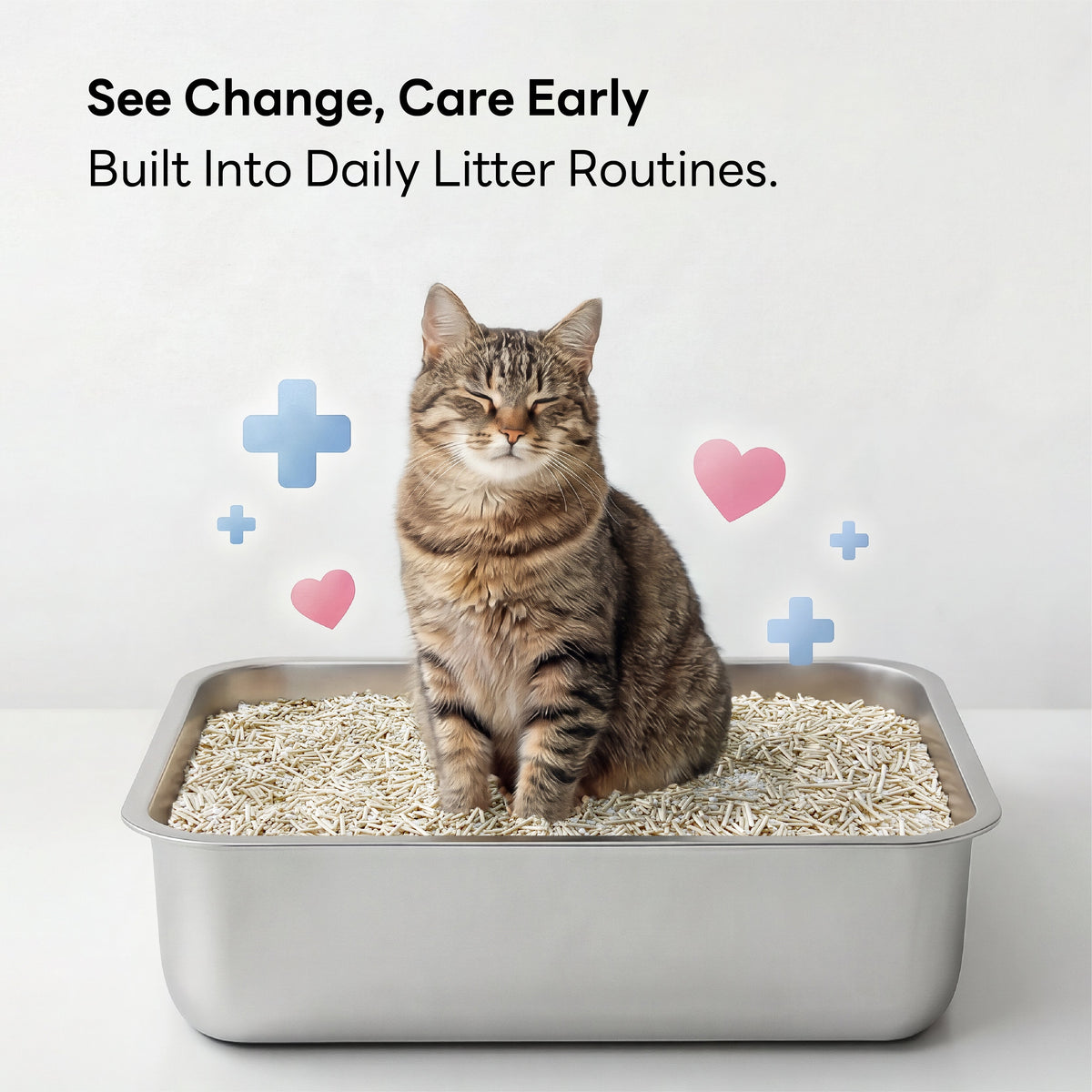 Purrify plant-based clumping cat litter with Smart pH Insight
