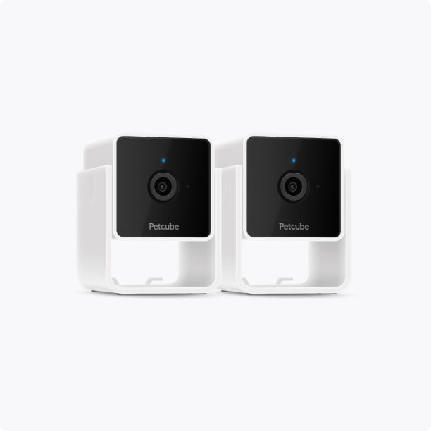Petcube Cam