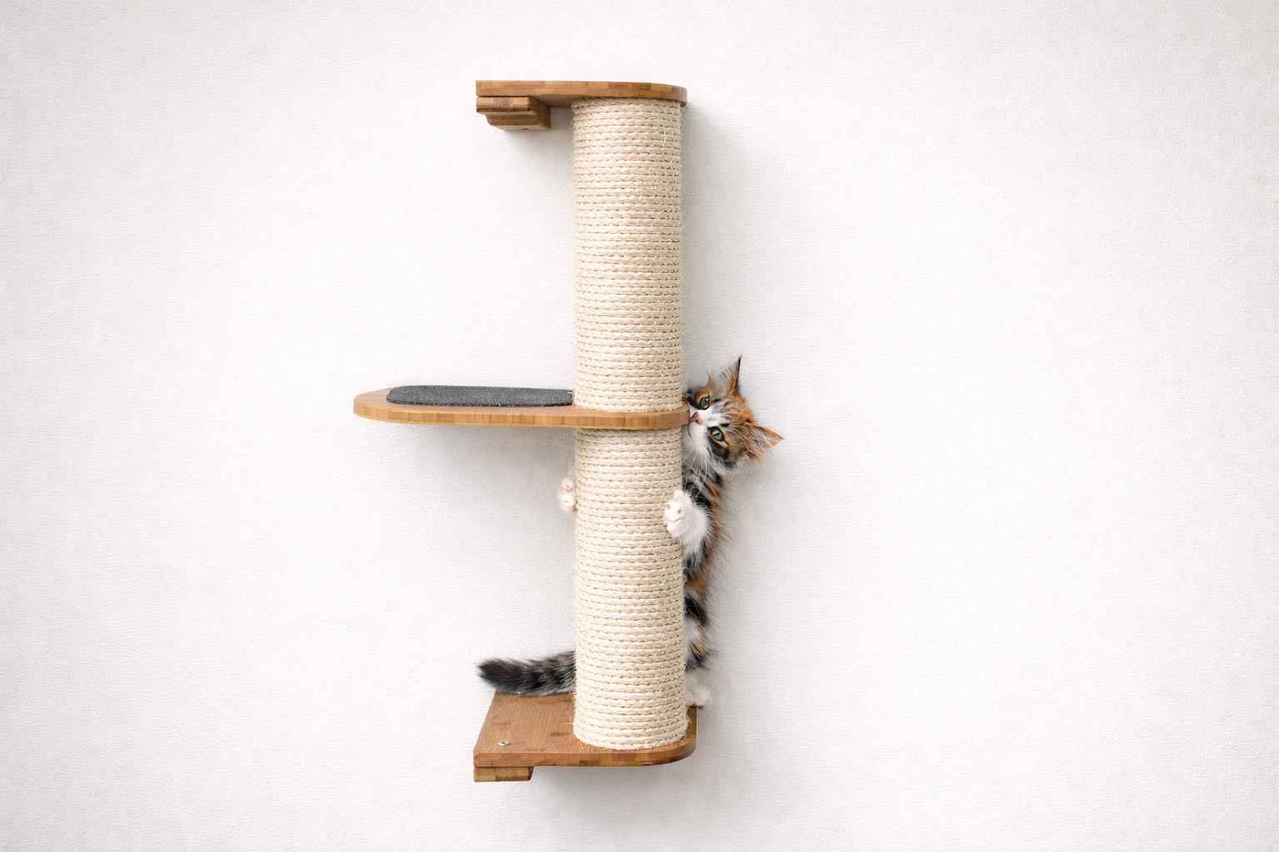 Wall Mounted Cat Climbing Pole