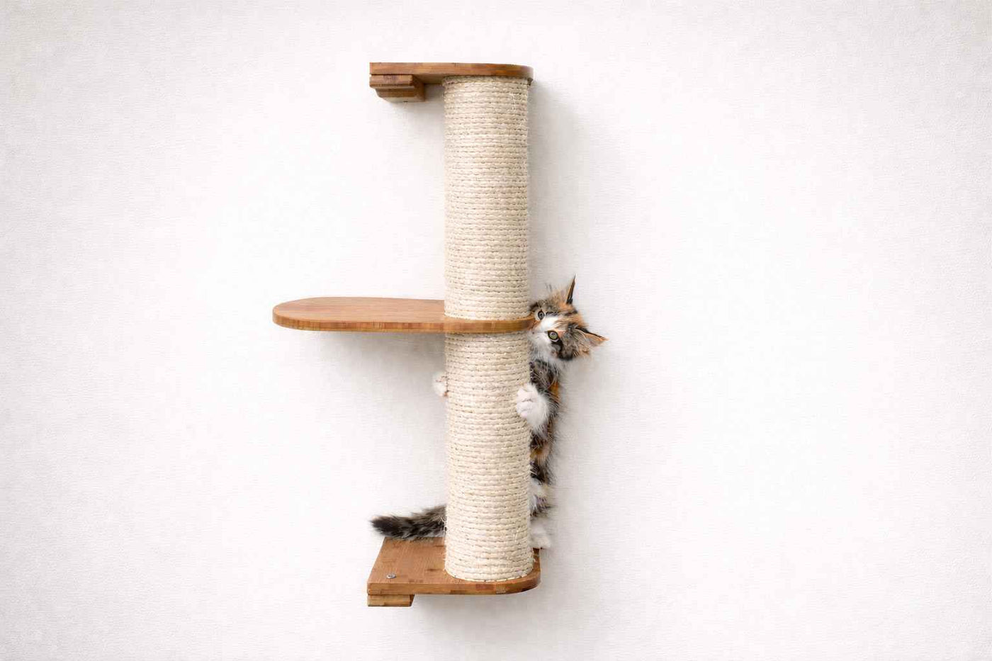 Wall Mounted Cat Climbing Pole