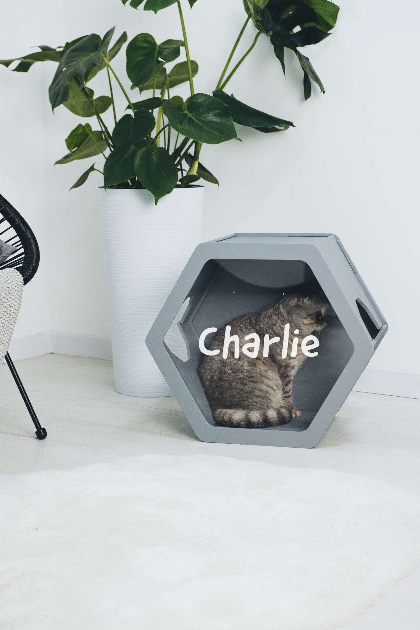 Cat Furniture Shelf Grey