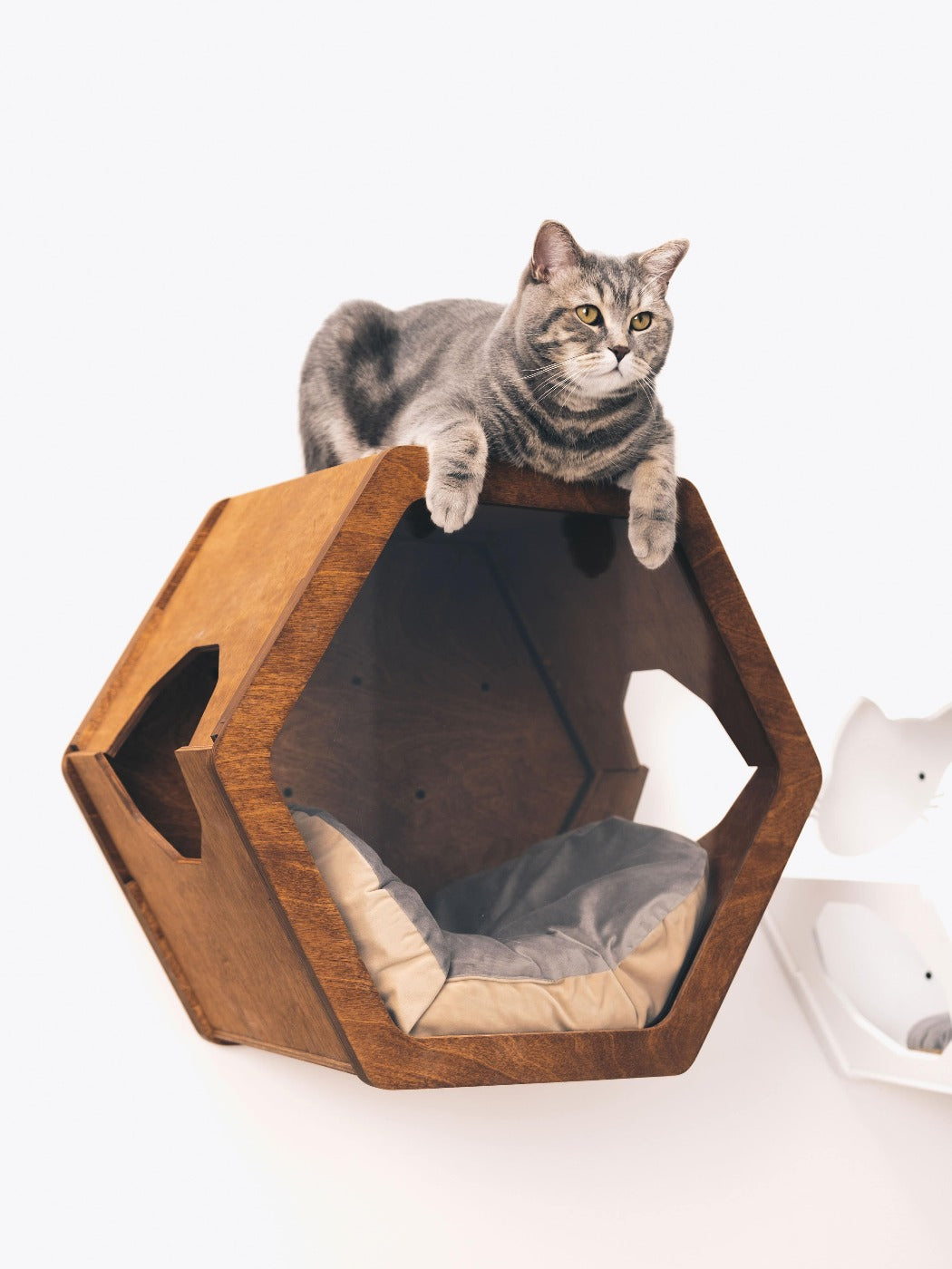 Cat Scratcher Set