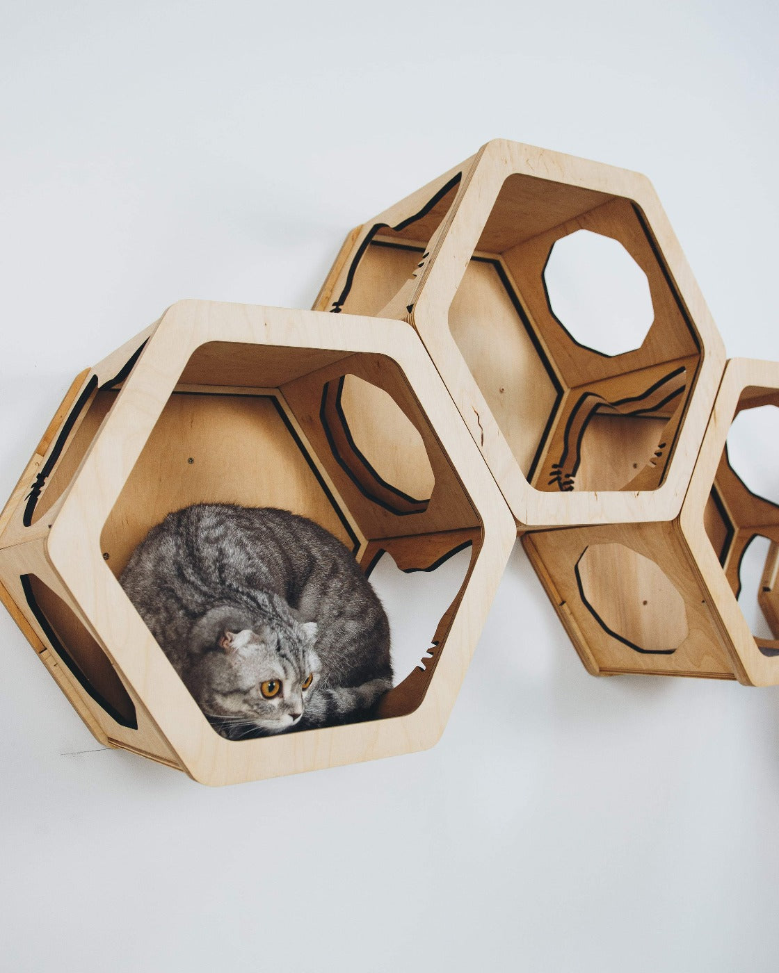 Cat Furniture Shelf White