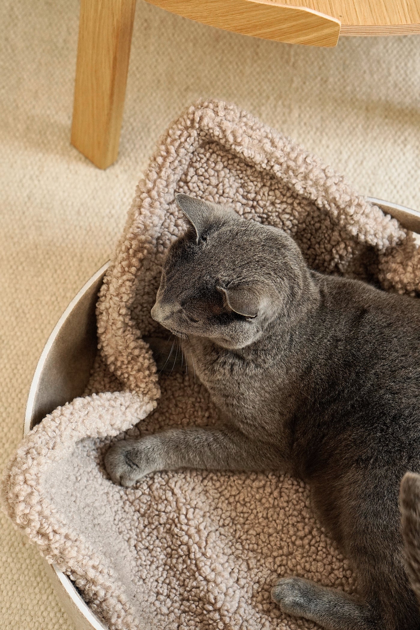 Senso Cat Blanket