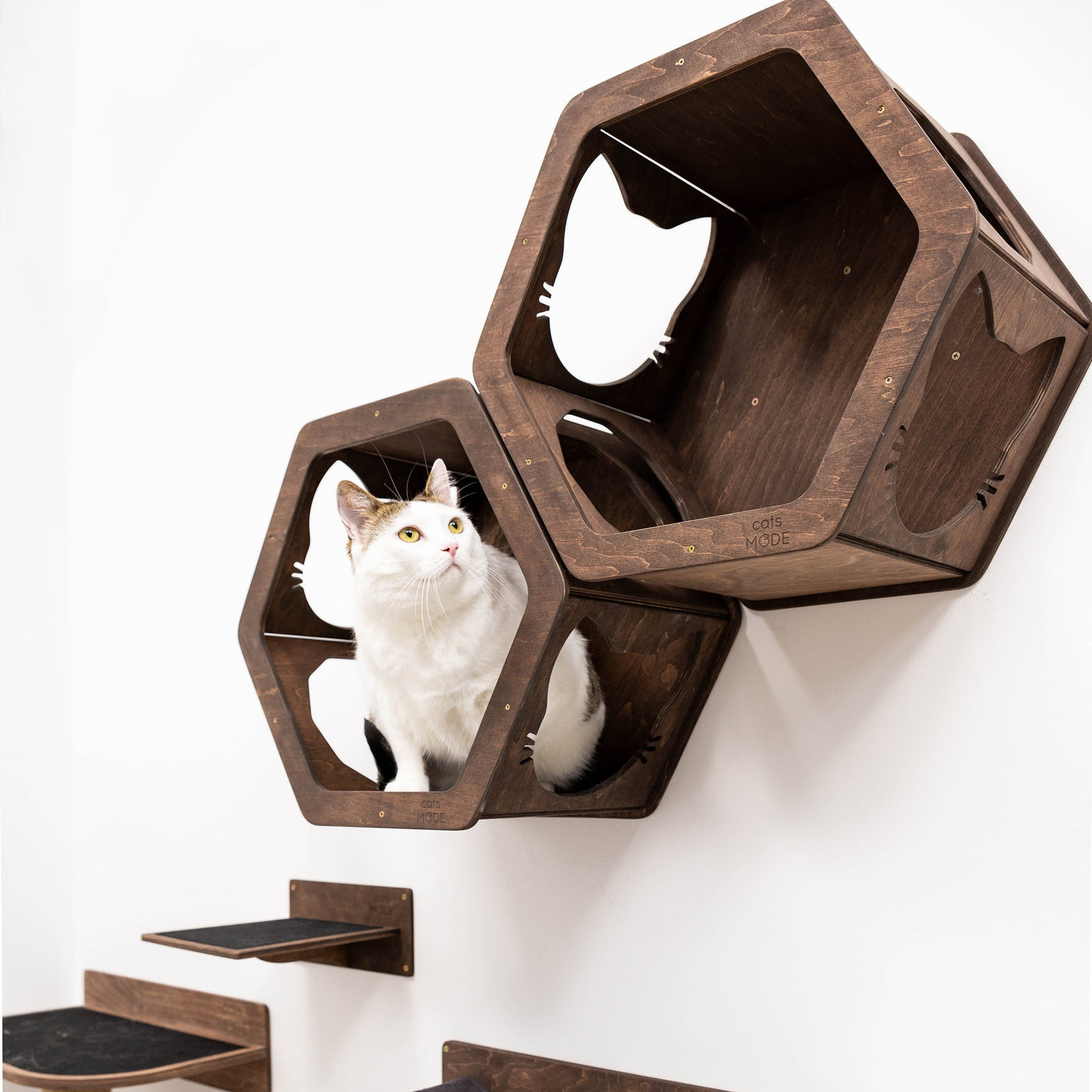 Wall Hexagon Cat House Set 2 Felt +bridge + Basket for Cats