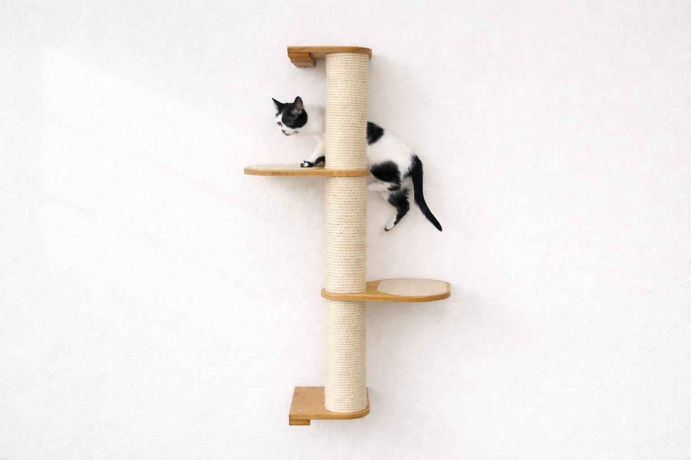 Wall Mounted Cat Climbing Pole