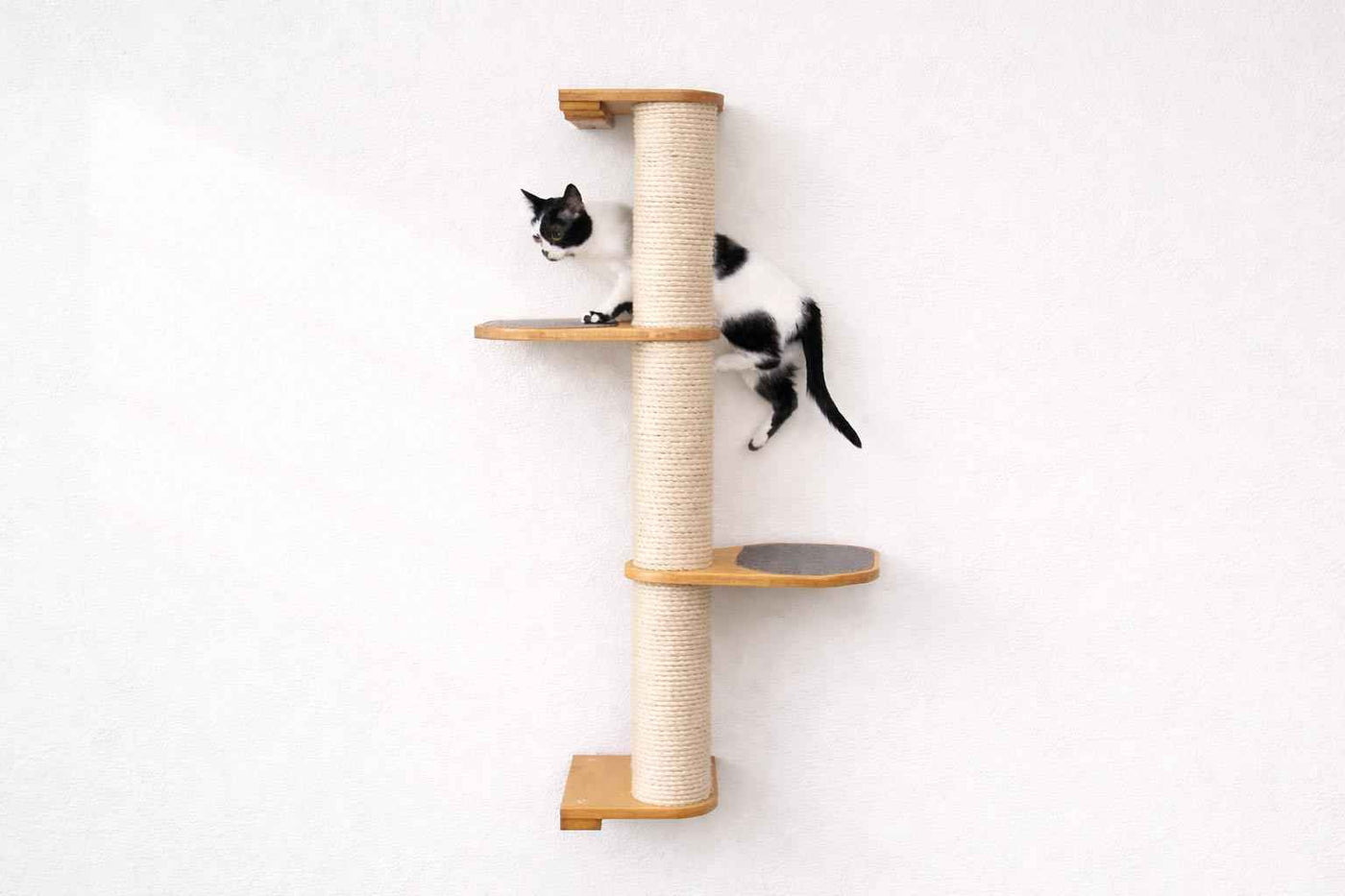Wall Mounted Cat Climbing Pole