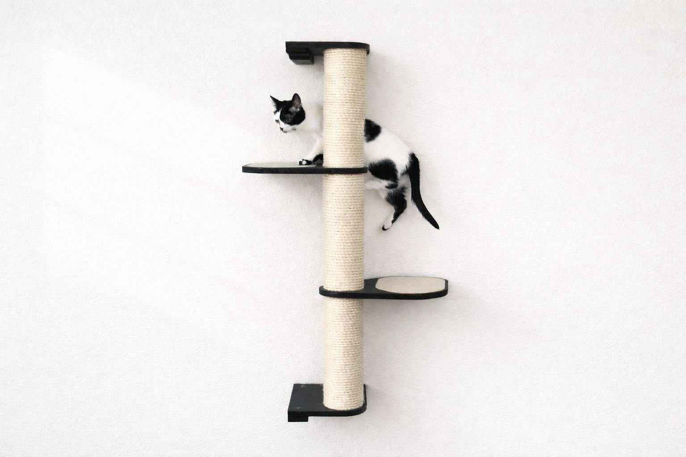 Wall Mounted Cat Climbing Pole