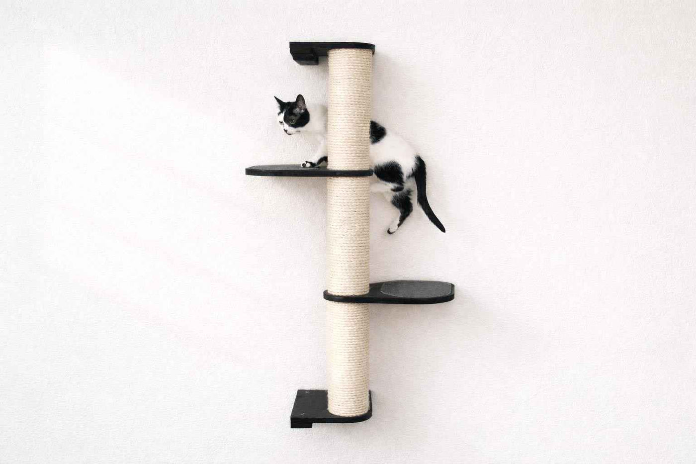 Wall Mounted Cat Climbing Pole