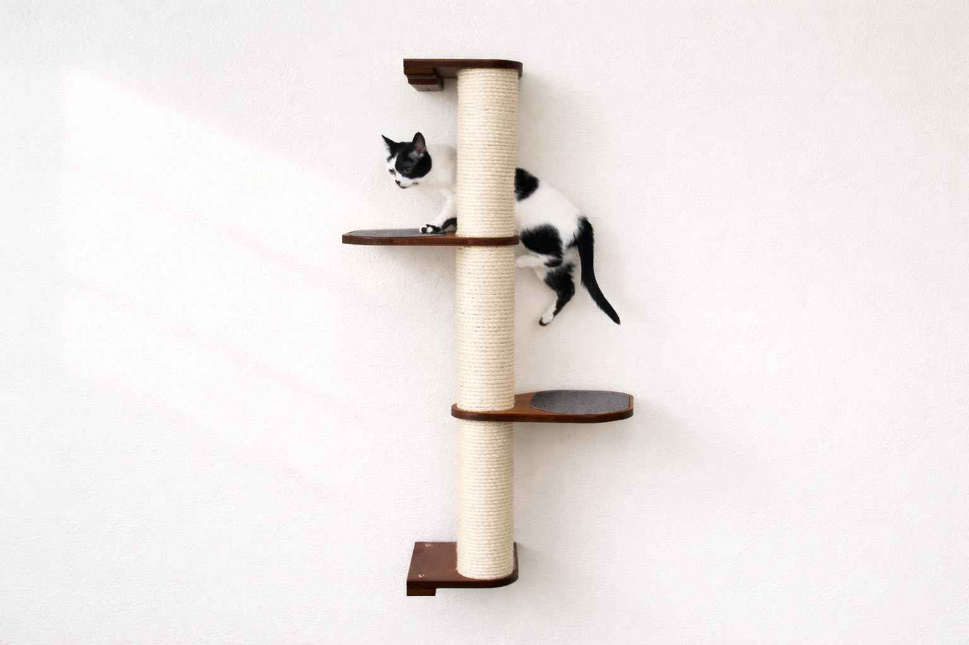Wall Mounted Cat Climbing Pole