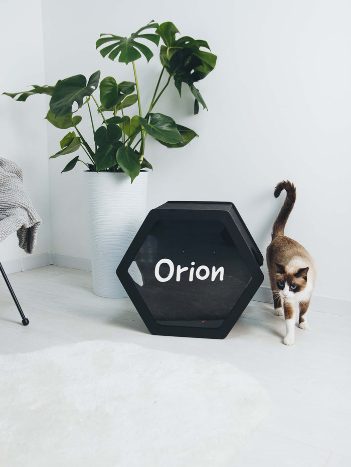Cat Furniture Shelf Black