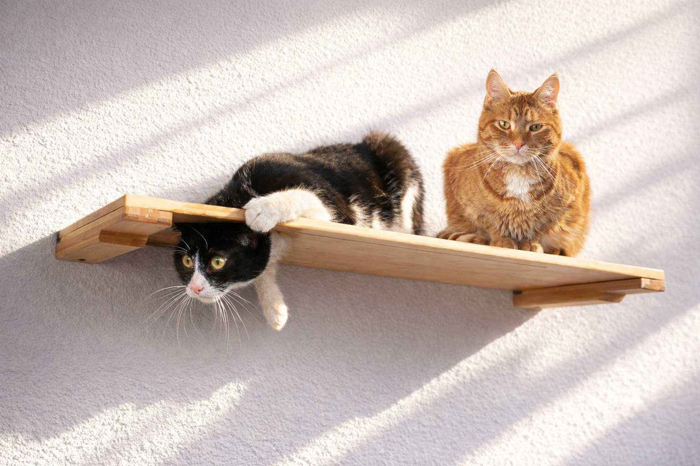 Wall-Mounted Cat Shelf