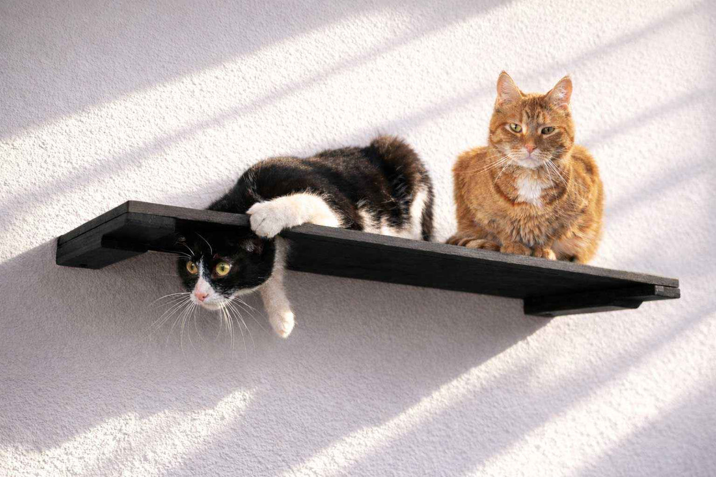 Wall-Mounted Cat Shelf
