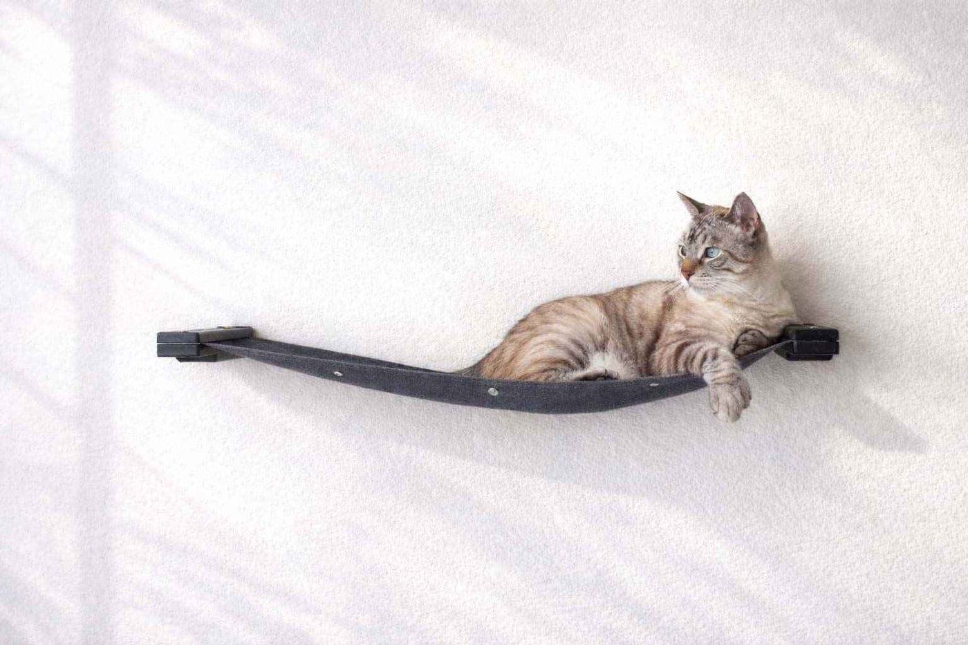 Hanging Cat Bed Hammock