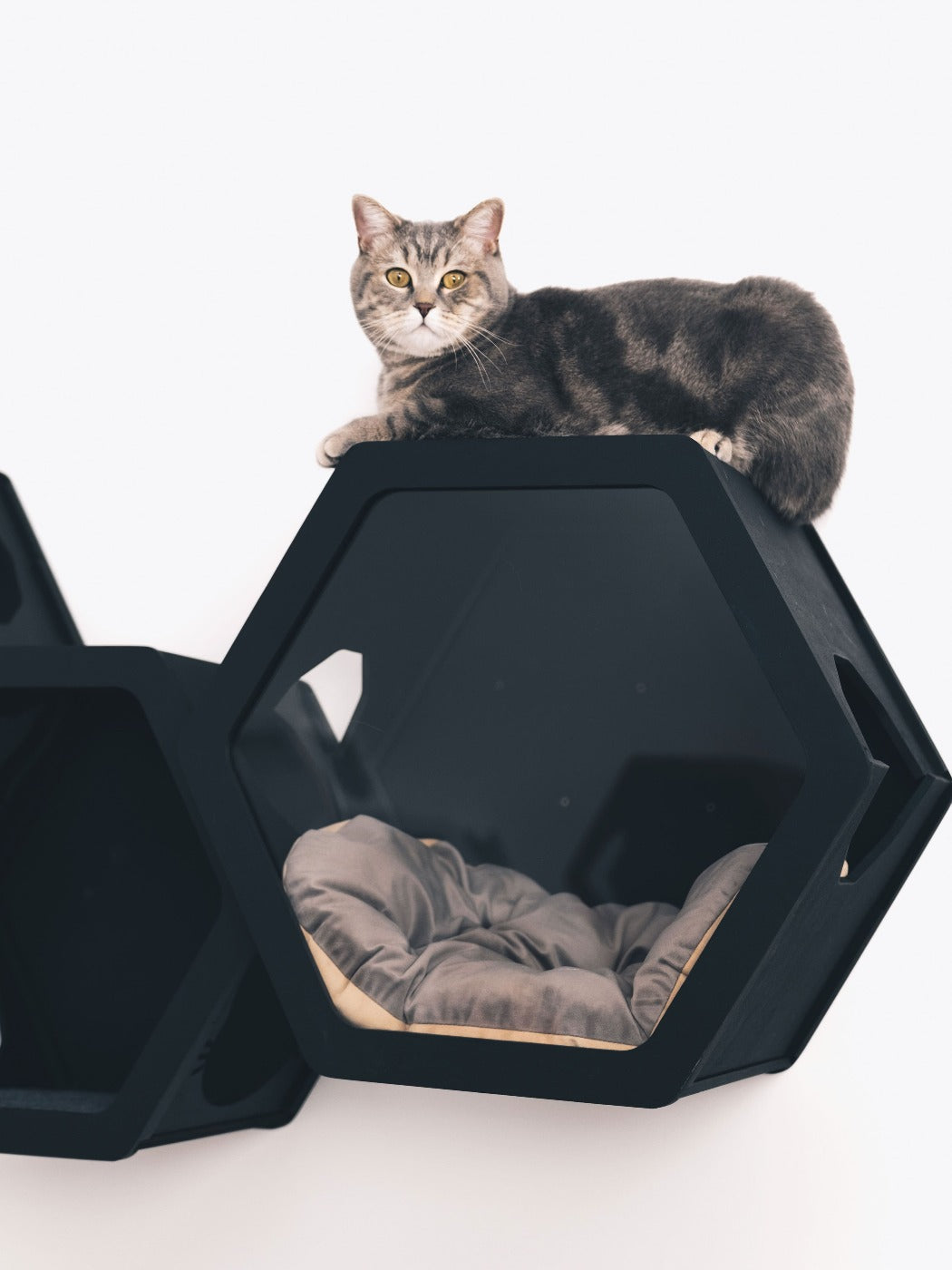 Hexagon Cat House Grey