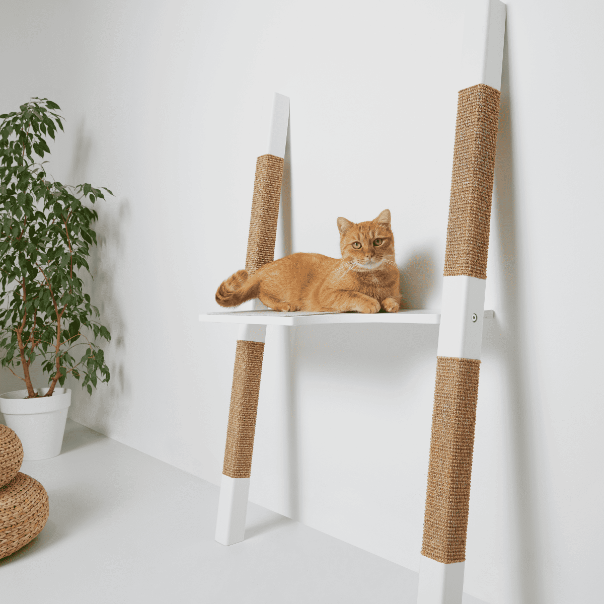 H1 Cat Scratching Tree by H-Tree Studio
